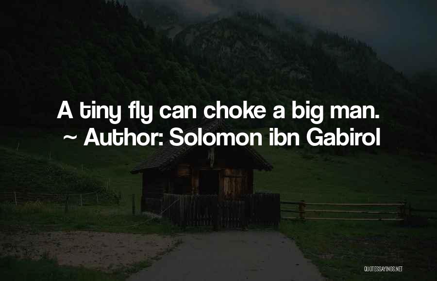 Solomon Ibn Gabirol Quotes: A Tiny Fly Can Choke A Big Man.