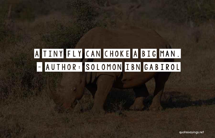 Solomon Ibn Gabirol Quotes: A Tiny Fly Can Choke A Big Man.