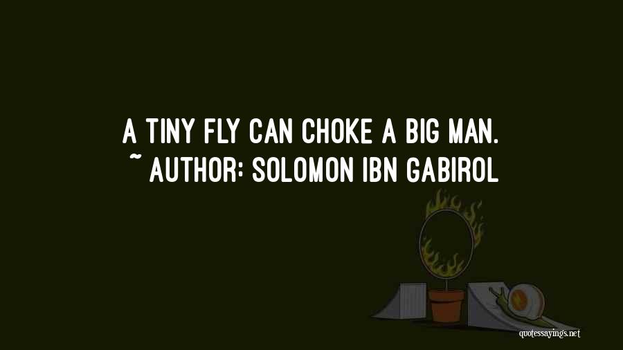Solomon Ibn Gabirol Quotes: A Tiny Fly Can Choke A Big Man.
