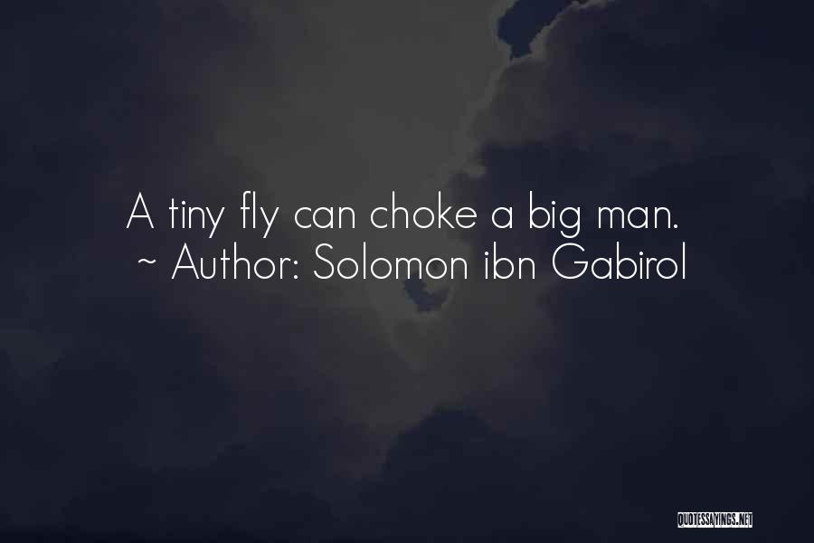 Solomon Ibn Gabirol Quotes: A Tiny Fly Can Choke A Big Man.