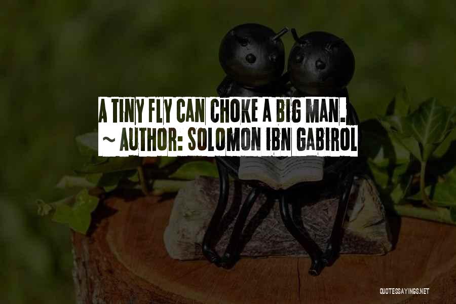 Solomon Ibn Gabirol Quotes: A Tiny Fly Can Choke A Big Man.