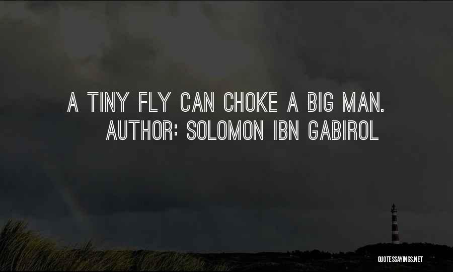 Solomon Ibn Gabirol Quotes: A Tiny Fly Can Choke A Big Man.