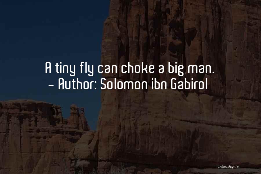 Solomon Ibn Gabirol Quotes: A Tiny Fly Can Choke A Big Man.