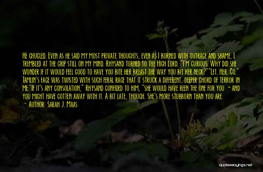 Sarah J. Maas Quotes: He Chucled. Even As He Said My Most Private Thoughts, Even As I Burned With Outrage And Shame, I Trembled