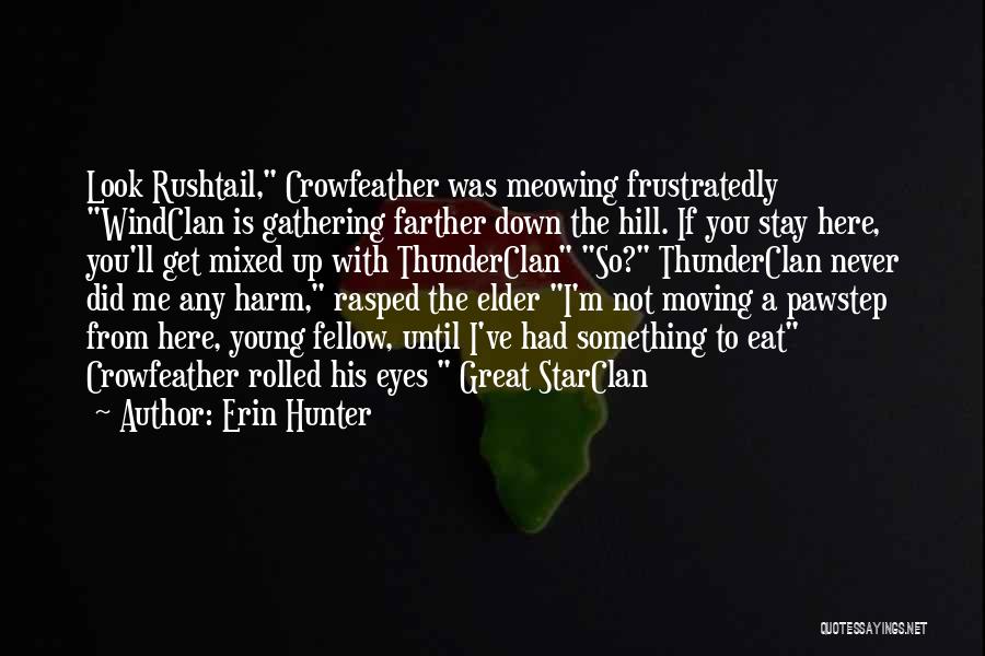 Erin Hunter Quotes: Look Rushtail, Crowfeather Was Meowing Frustratedly Windclan Is Gathering Farther Down The Hill. If You Stay Here, You'll Get Mixed