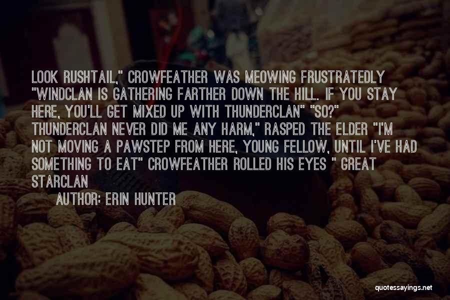 Erin Hunter Quotes: Look Rushtail, Crowfeather Was Meowing Frustratedly Windclan Is Gathering Farther Down The Hill. If You Stay Here, You'll Get Mixed