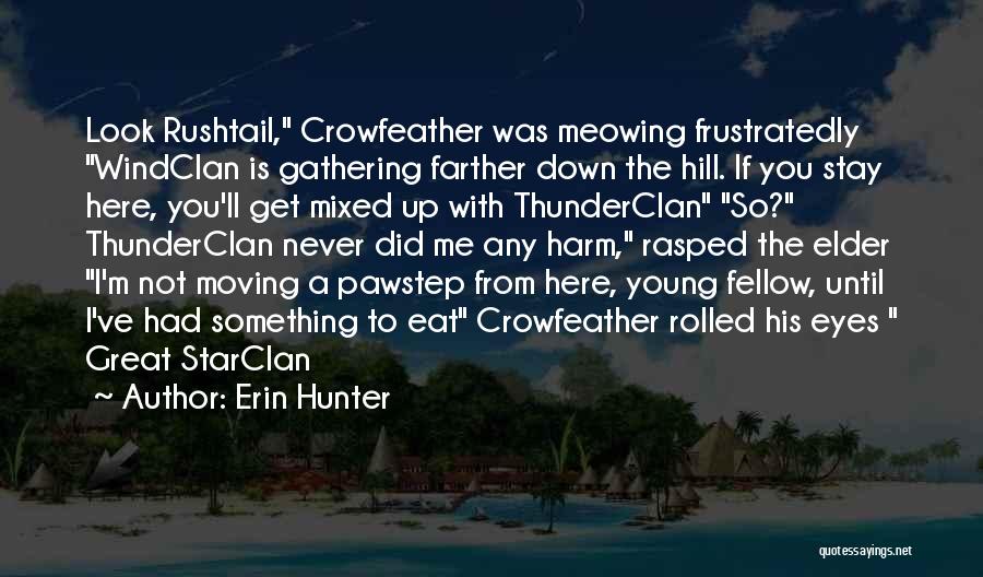 Erin Hunter Quotes: Look Rushtail, Crowfeather Was Meowing Frustratedly Windclan Is Gathering Farther Down The Hill. If You Stay Here, You'll Get Mixed