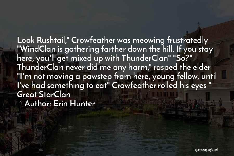 Erin Hunter Quotes: Look Rushtail, Crowfeather Was Meowing Frustratedly Windclan Is Gathering Farther Down The Hill. If You Stay Here, You'll Get Mixed