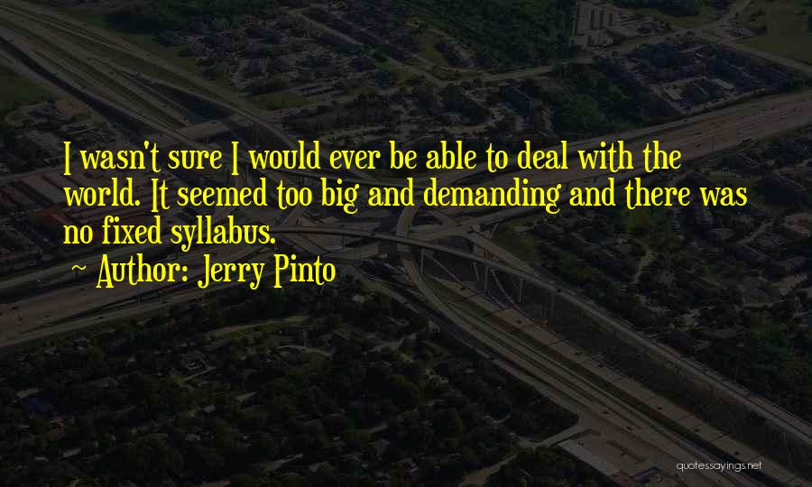 Jerry Pinto Quotes: I Wasn't Sure I Would Ever Be Able To Deal With The World. It Seemed Too Big And Demanding And