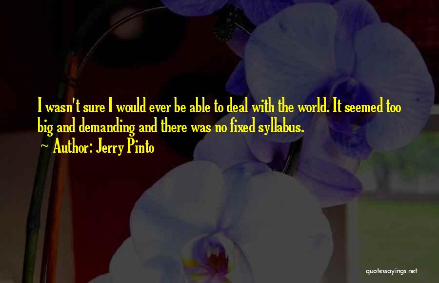 Jerry Pinto Quotes: I Wasn't Sure I Would Ever Be Able To Deal With The World. It Seemed Too Big And Demanding And