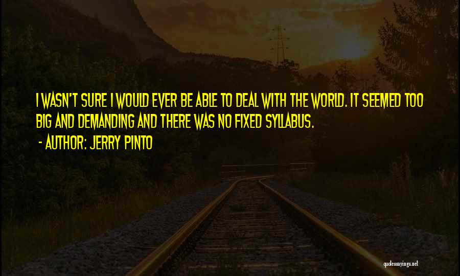 Jerry Pinto Quotes: I Wasn't Sure I Would Ever Be Able To Deal With The World. It Seemed Too Big And Demanding And