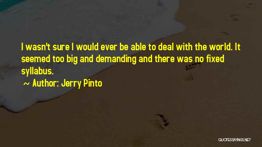 Jerry Pinto Quotes: I Wasn't Sure I Would Ever Be Able To Deal With The World. It Seemed Too Big And Demanding And