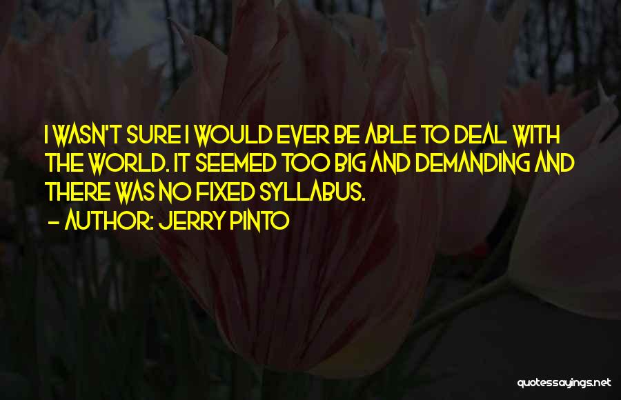 Jerry Pinto Quotes: I Wasn't Sure I Would Ever Be Able To Deal With The World. It Seemed Too Big And Demanding And