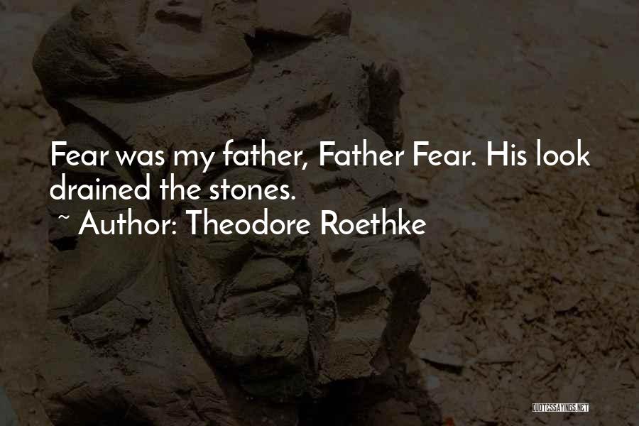 Theodore Roethke Quotes: Fear Was My Father, Father Fear. His Look Drained The Stones.