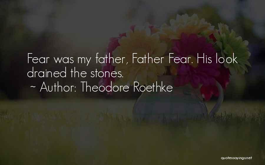 Theodore Roethke Quotes: Fear Was My Father, Father Fear. His Look Drained The Stones.
