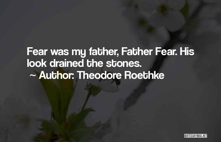 Theodore Roethke Quotes: Fear Was My Father, Father Fear. His Look Drained The Stones.