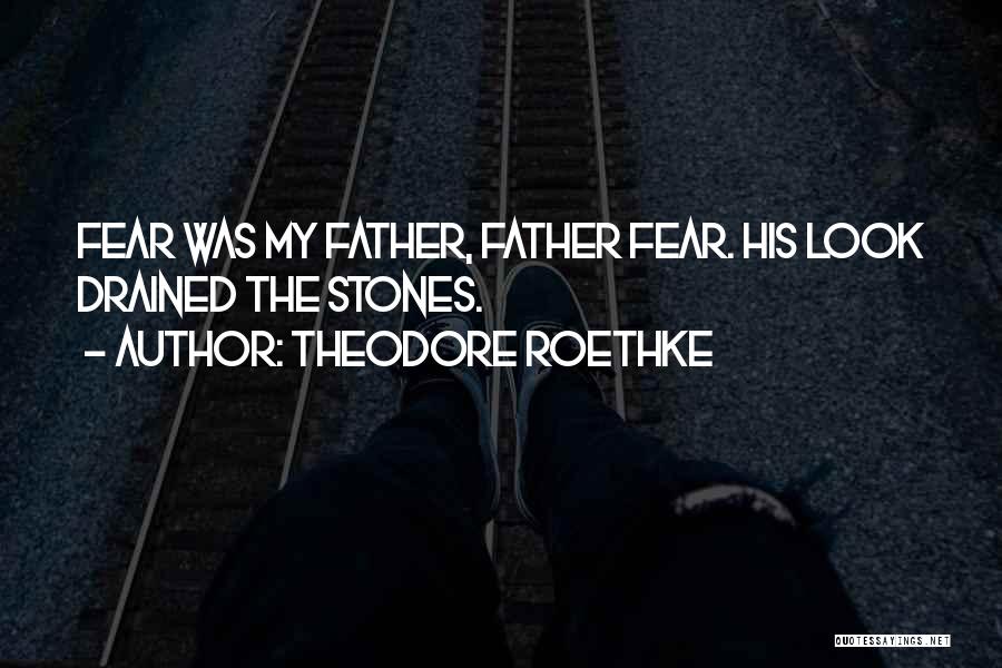 Theodore Roethke Quotes: Fear Was My Father, Father Fear. His Look Drained The Stones.