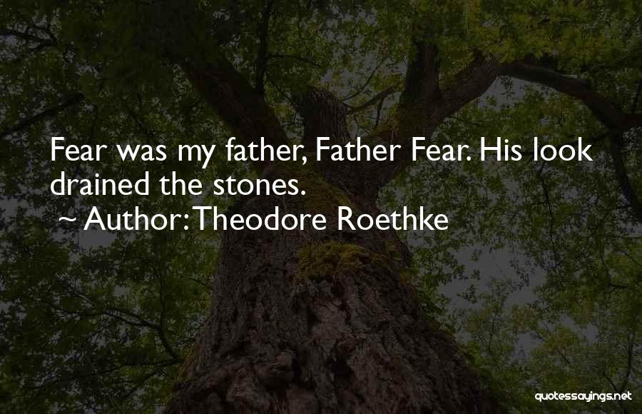 Theodore Roethke Quotes: Fear Was My Father, Father Fear. His Look Drained The Stones.