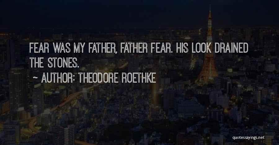 Theodore Roethke Quotes: Fear Was My Father, Father Fear. His Look Drained The Stones.