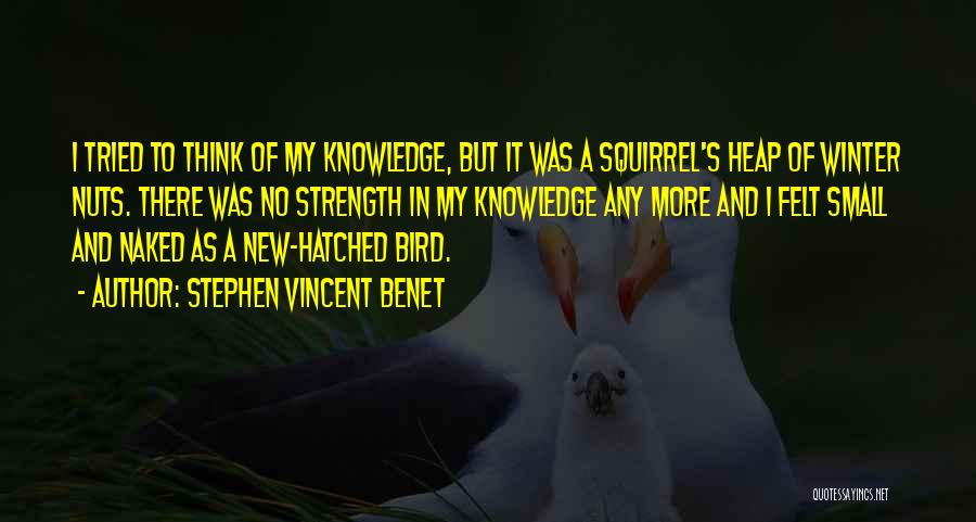 Stephen Vincent Benet Quotes: I Tried To Think Of My Knowledge, But It Was A Squirrel's Heap Of Winter Nuts. There Was No Strength