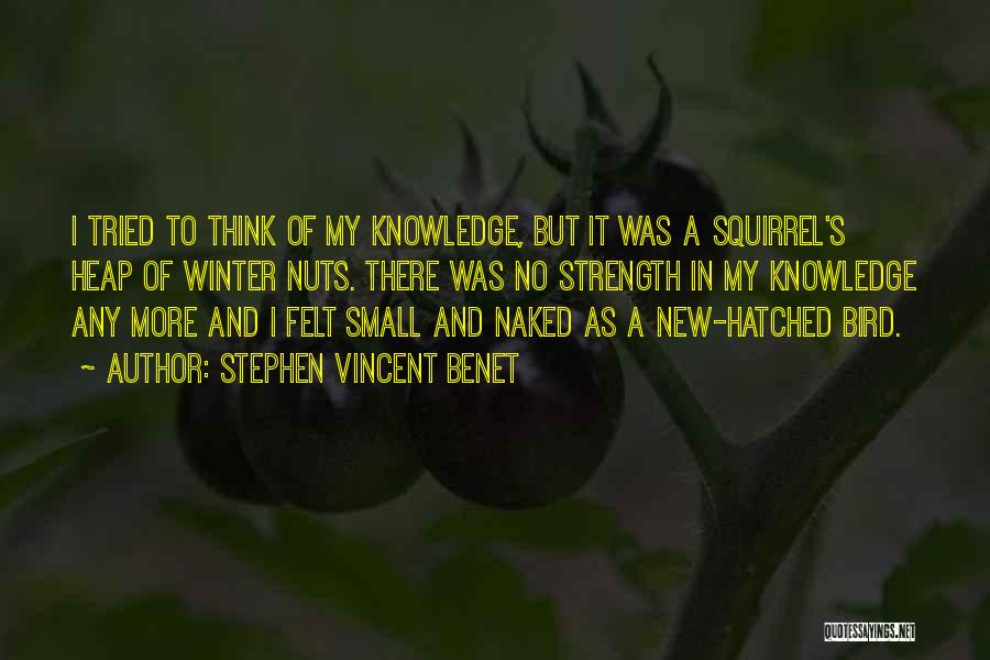 Stephen Vincent Benet Quotes: I Tried To Think Of My Knowledge, But It Was A Squirrel's Heap Of Winter Nuts. There Was No Strength