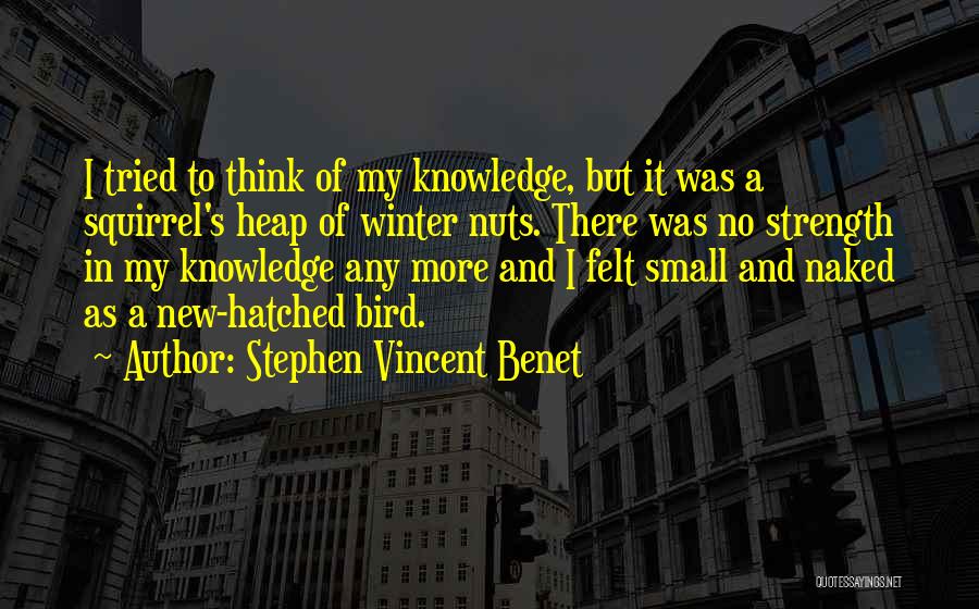 Stephen Vincent Benet Quotes: I Tried To Think Of My Knowledge, But It Was A Squirrel's Heap Of Winter Nuts. There Was No Strength