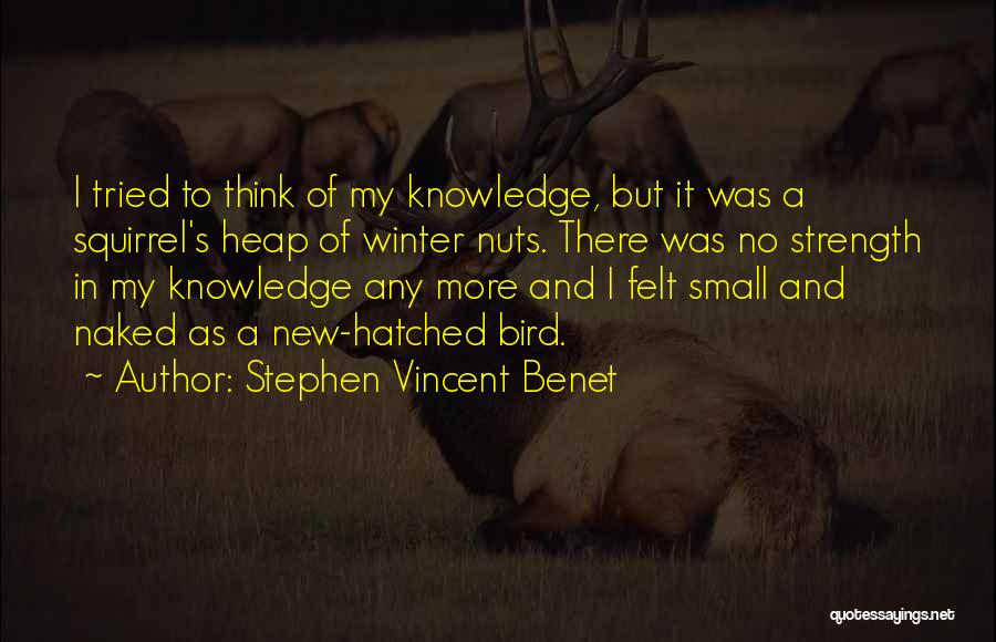 Stephen Vincent Benet Quotes: I Tried To Think Of My Knowledge, But It Was A Squirrel's Heap Of Winter Nuts. There Was No Strength