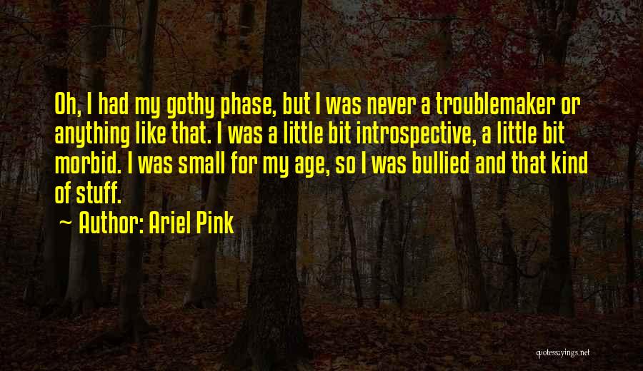 Ariel Pink Quotes: Oh, I Had My Gothy Phase, But I Was Never A Troublemaker Or Anything Like That. I Was A Little