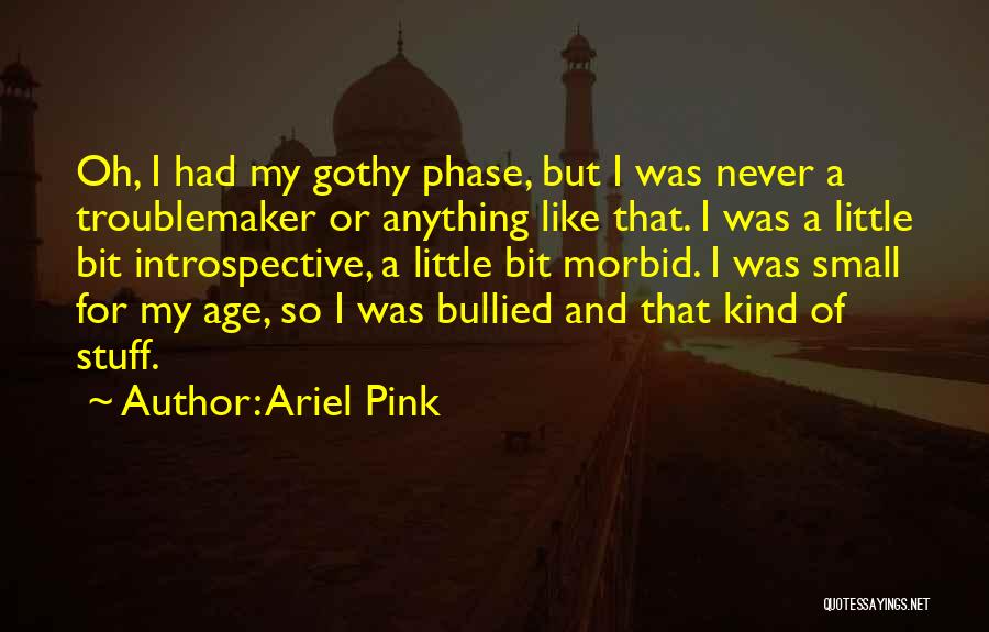 Ariel Pink Quotes: Oh, I Had My Gothy Phase, But I Was Never A Troublemaker Or Anything Like That. I Was A Little