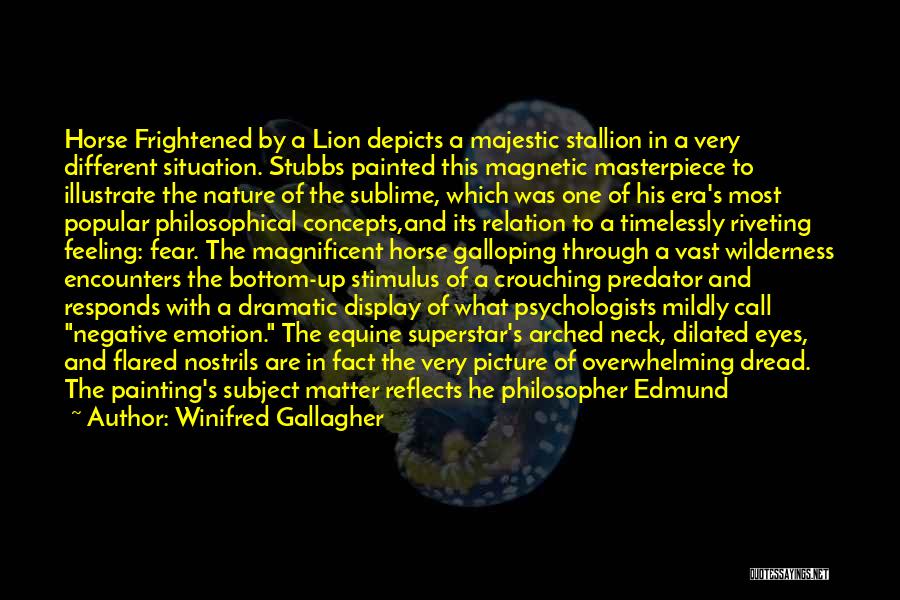 Winifred Gallagher Quotes: Horse Frightened By A Lion Depicts A Majestic Stallion In A Very Different Situation. Stubbs Painted This Magnetic Masterpiece To