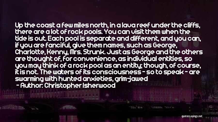 Christopher Isherwood Quotes: Up The Coast A Few Miles North, In A Lava Reef Under The Cliffs, There Are A Lot Of Rock