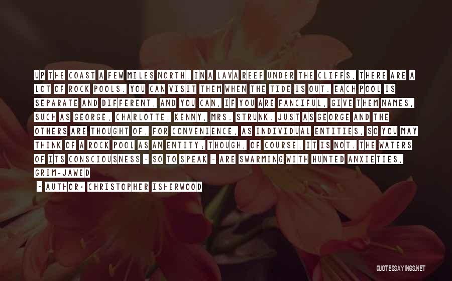 Christopher Isherwood Quotes: Up The Coast A Few Miles North, In A Lava Reef Under The Cliffs, There Are A Lot Of Rock