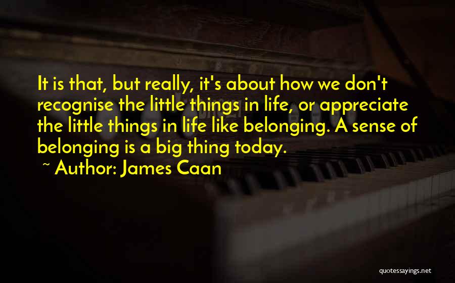 James Caan Quotes: It Is That, But Really, It's About How We Don't Recognise The Little Things In Life, Or Appreciate The Little