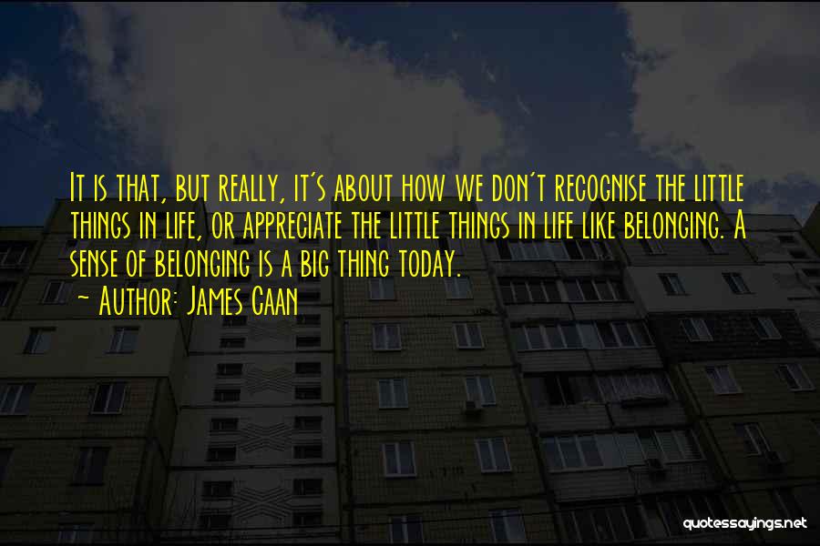 James Caan Quotes: It Is That, But Really, It's About How We Don't Recognise The Little Things In Life, Or Appreciate The Little