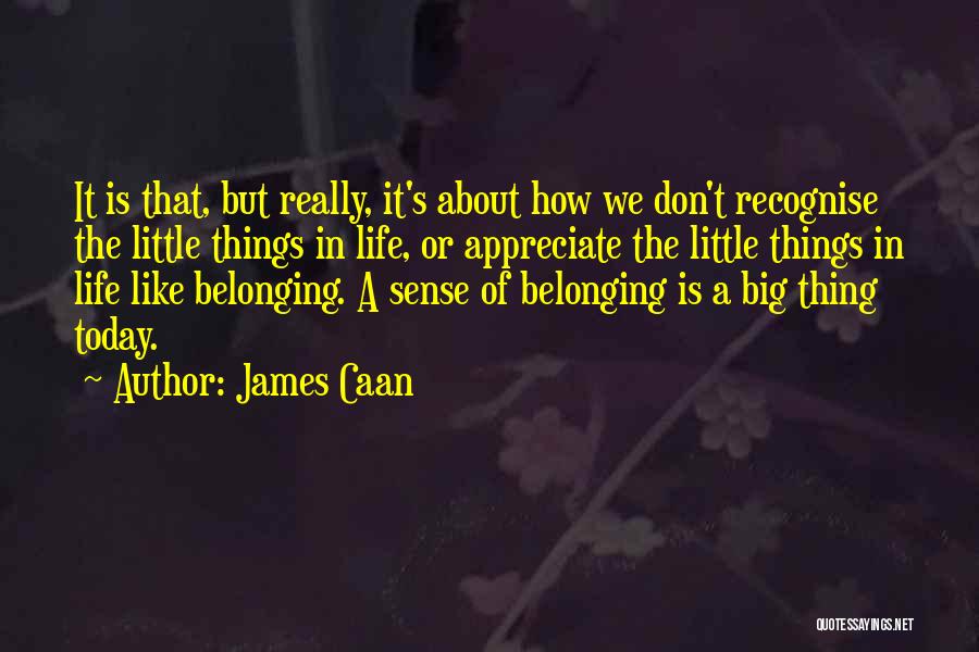 James Caan Quotes: It Is That, But Really, It's About How We Don't Recognise The Little Things In Life, Or Appreciate The Little