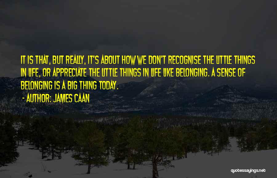 James Caan Quotes: It Is That, But Really, It's About How We Don't Recognise The Little Things In Life, Or Appreciate The Little