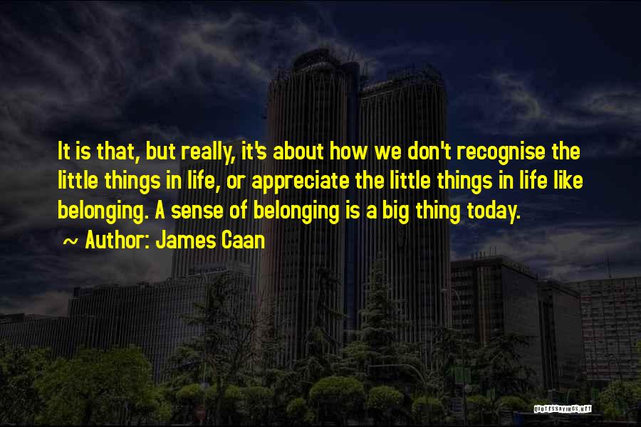 James Caan Quotes: It Is That, But Really, It's About How We Don't Recognise The Little Things In Life, Or Appreciate The Little