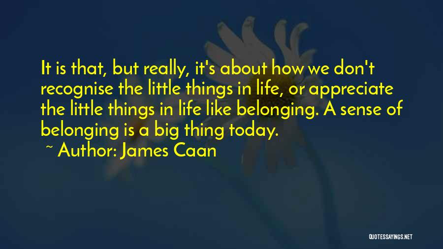 James Caan Quotes: It Is That, But Really, It's About How We Don't Recognise The Little Things In Life, Or Appreciate The Little