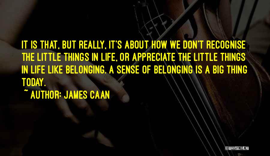 James Caan Quotes: It Is That, But Really, It's About How We Don't Recognise The Little Things In Life, Or Appreciate The Little