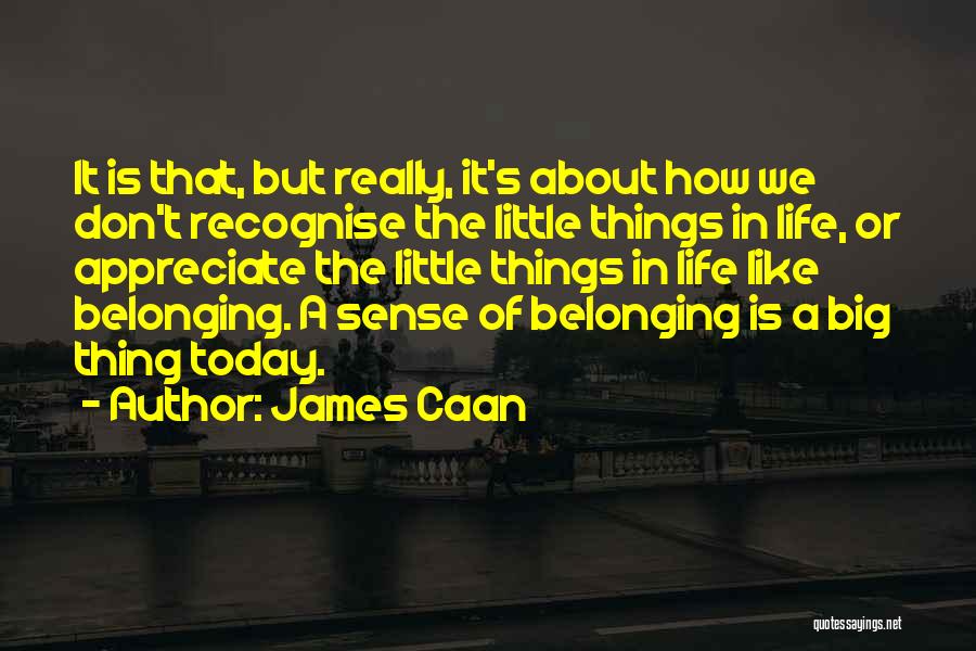 James Caan Quotes: It Is That, But Really, It's About How We Don't Recognise The Little Things In Life, Or Appreciate The Little