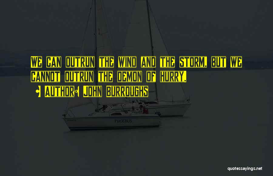 John Burroughs Quotes: We Can Outrun The Wind And The Storm, But We Cannot Outrun The Demon Of Hurry.
