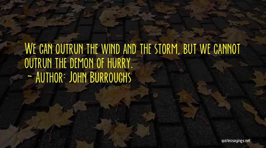 John Burroughs Quotes: We Can Outrun The Wind And The Storm, But We Cannot Outrun The Demon Of Hurry.