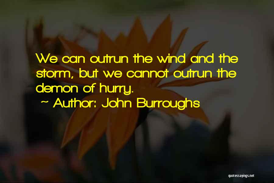 John Burroughs Quotes: We Can Outrun The Wind And The Storm, But We Cannot Outrun The Demon Of Hurry.