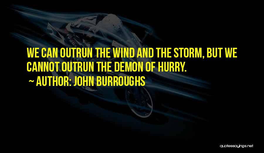 John Burroughs Quotes: We Can Outrun The Wind And The Storm, But We Cannot Outrun The Demon Of Hurry.
