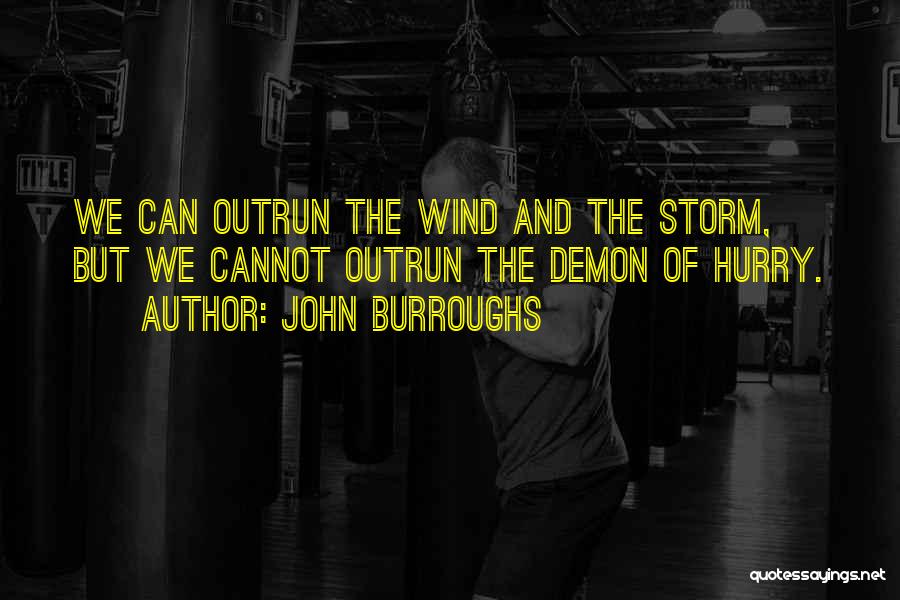 John Burroughs Quotes: We Can Outrun The Wind And The Storm, But We Cannot Outrun The Demon Of Hurry.