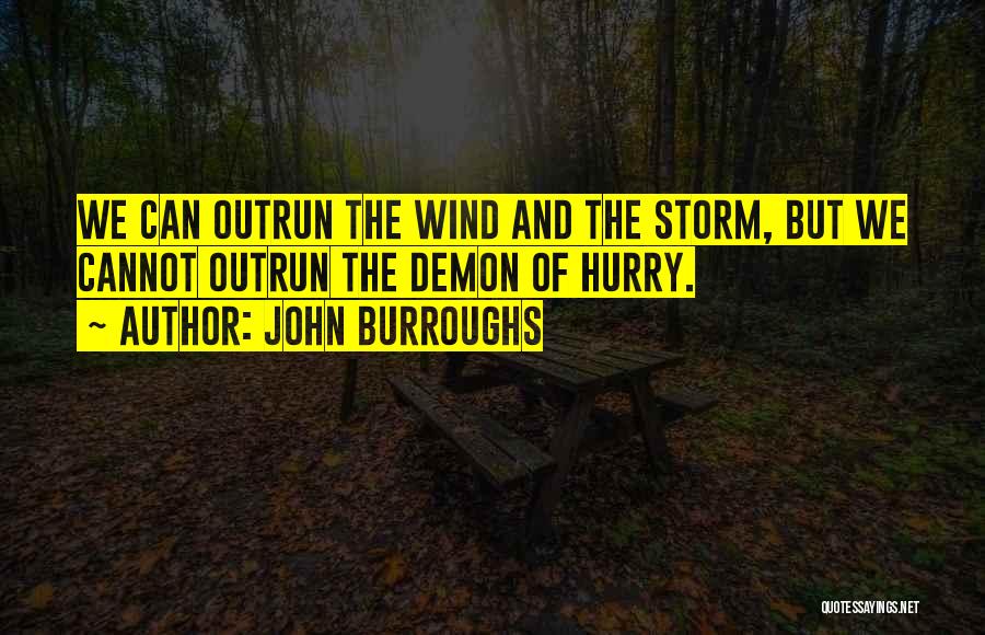 John Burroughs Quotes: We Can Outrun The Wind And The Storm, But We Cannot Outrun The Demon Of Hurry.