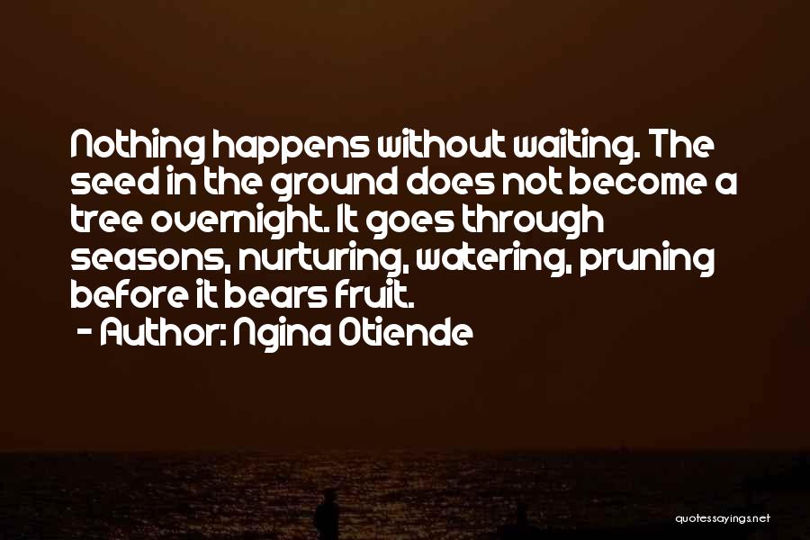 Ngina Otiende Quotes: Nothing Happens Without Waiting. The Seed In The Ground Does Not Become A Tree Overnight. It Goes Through Seasons, Nurturing,