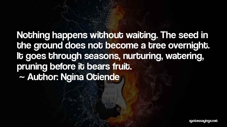 Ngina Otiende Quotes: Nothing Happens Without Waiting. The Seed In The Ground Does Not Become A Tree Overnight. It Goes Through Seasons, Nurturing,