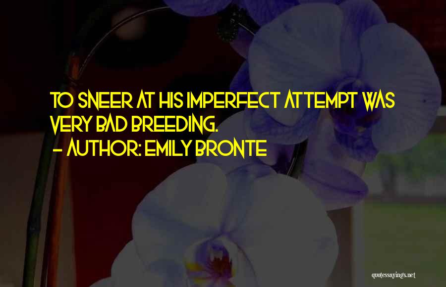Emily Bronte Quotes: To Sneer At His Imperfect Attempt Was Very Bad Breeding.