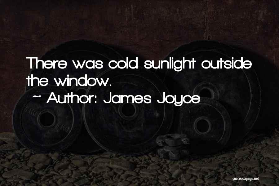 James Joyce Quotes: There Was Cold Sunlight Outside The Window.